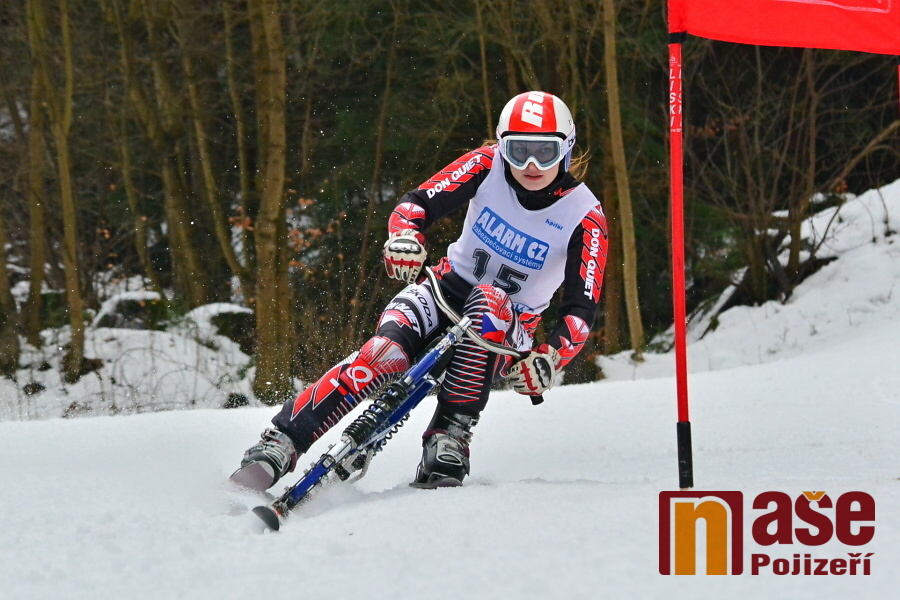 Sobotní obří slalom v rámci MČR a ČP v jízdě na skibobech v Jablonci nad Jizerou Autor: Olda Johan