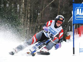 Alena Housová - Autor: Vojtěch Podstavek