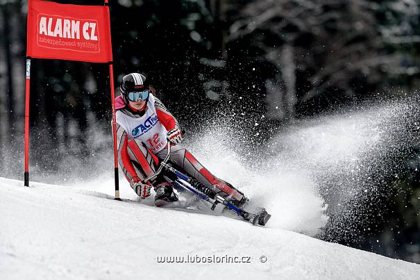 Stanislava Preclíková ze Skibob klubu Dobruška se stala celkovou vítězkou Světového poháru v jízdě na skibobech.Autor: Foto: Luboš Lorinc